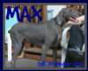 MAX-WEIM-AR