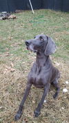 MAX-WEIM-AR