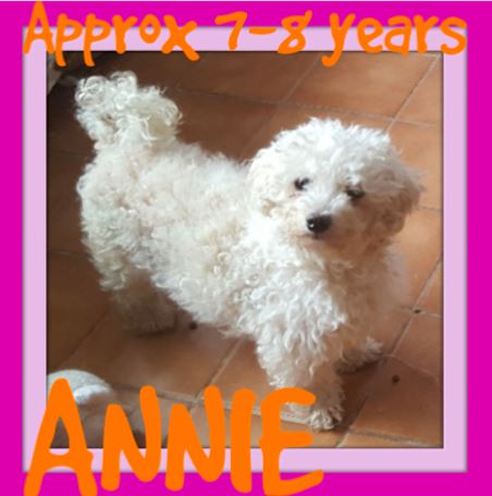 ANNIE