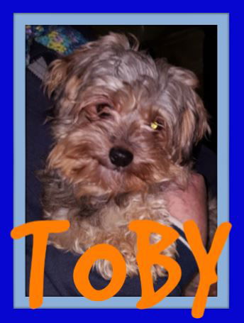 TOBY