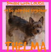 THELMA - bonded with LOUISE