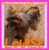 LOUISE - bonded with THELMA