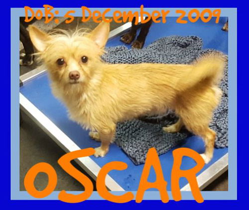 OSCAR-Boy