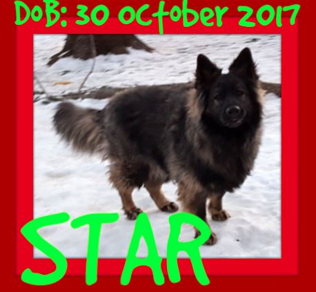 STAR