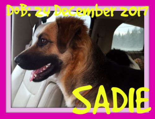 SADIE-Girl