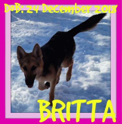 BRITTA