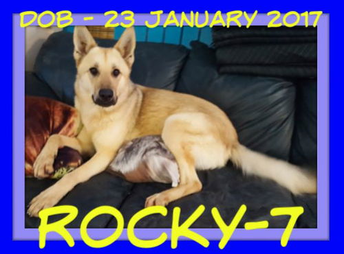 ROCKY-7