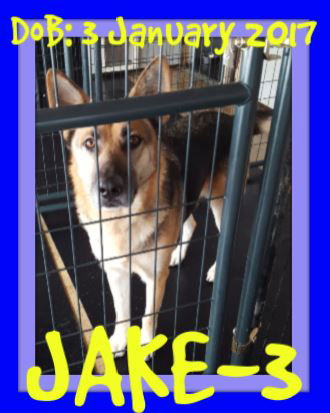 JAKE-3