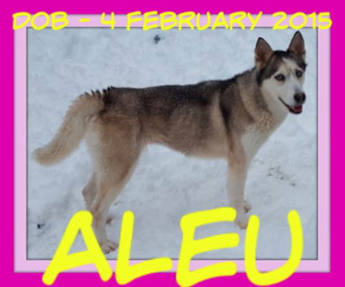 ALEU