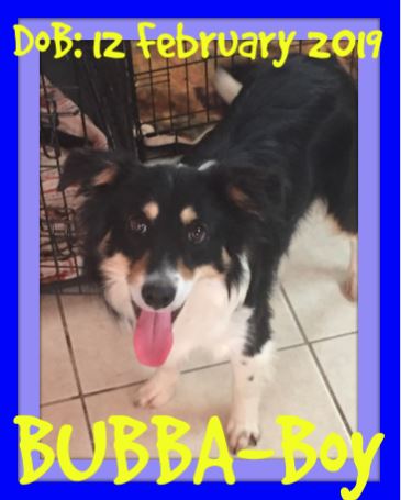 BUBBA