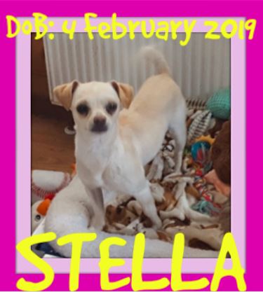STELLA