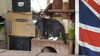 SMOKEY-CAT - PENDING ADOPTION