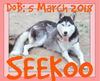 SEEKOO