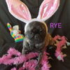 RYE-Girl - bonded with PEACHES