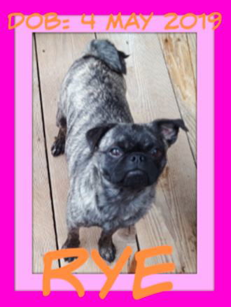 RYE-Girl - bonded with PEACHES