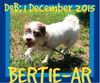 BERTIE-AR