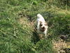BERTIE-AR