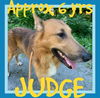 JUDGE