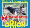 ORION