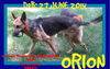 ORION