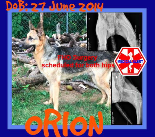 ORION