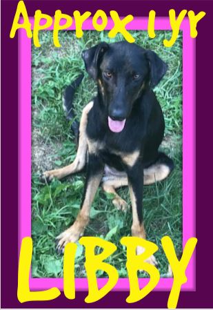 LIBBY