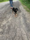 LIBBY