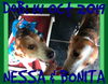 BONITA & NESSA - bonded pair