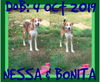 BONITA & NESSA - bonded pair