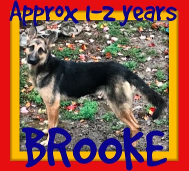 BROOKE