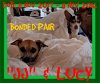 LUCY - Bonded with JJ