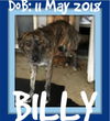 BILLY