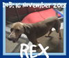 REX