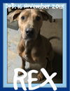 REX