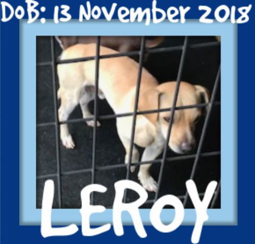 LEYROY