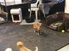 WINNIE