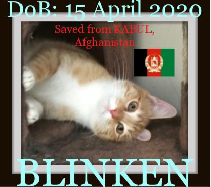 BLINKEN