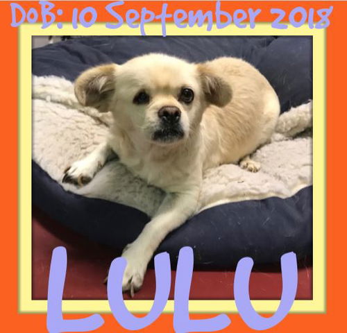 LULU