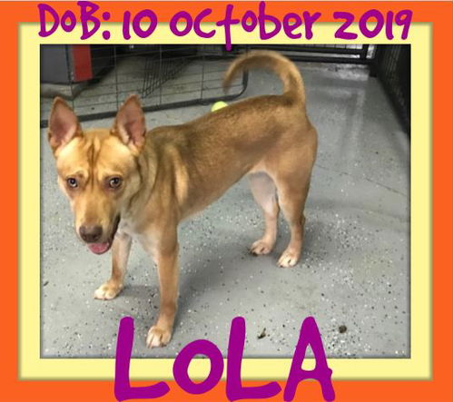 LOLA