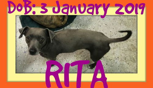 RITA