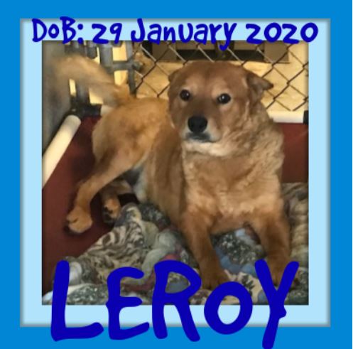 LEROY