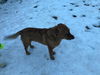 LEROY