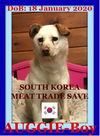 AUGGIE - South Korea Save