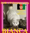 BIANCA - Afghan Kittie - $50