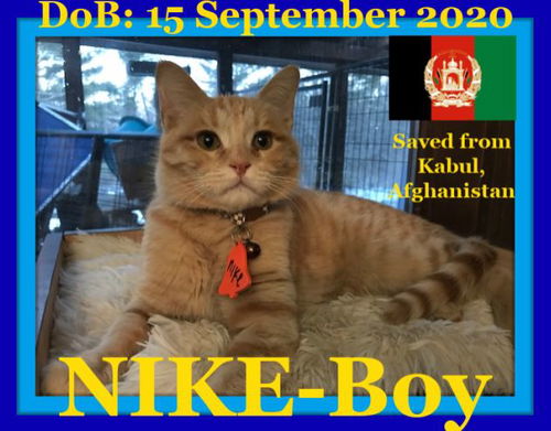 NIKE - Afghan Kittie