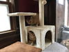BOBBY - Afghan Kittie