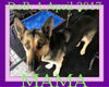 MAMA - Fostered in New Brunswick, Canada