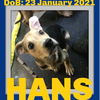 HANS