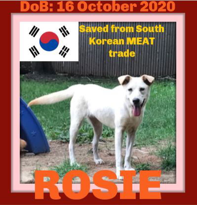 ROSIE - SOUTH KOREAN MEAT TRADE