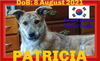 PATRICIA - South Korea Meat Trade Save - * * $300